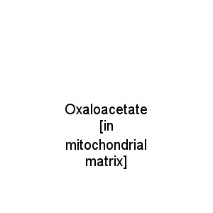 Oxaloacetate [in mitochondrial matrix]